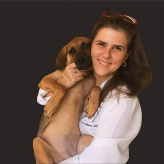 Design sem nome (5)